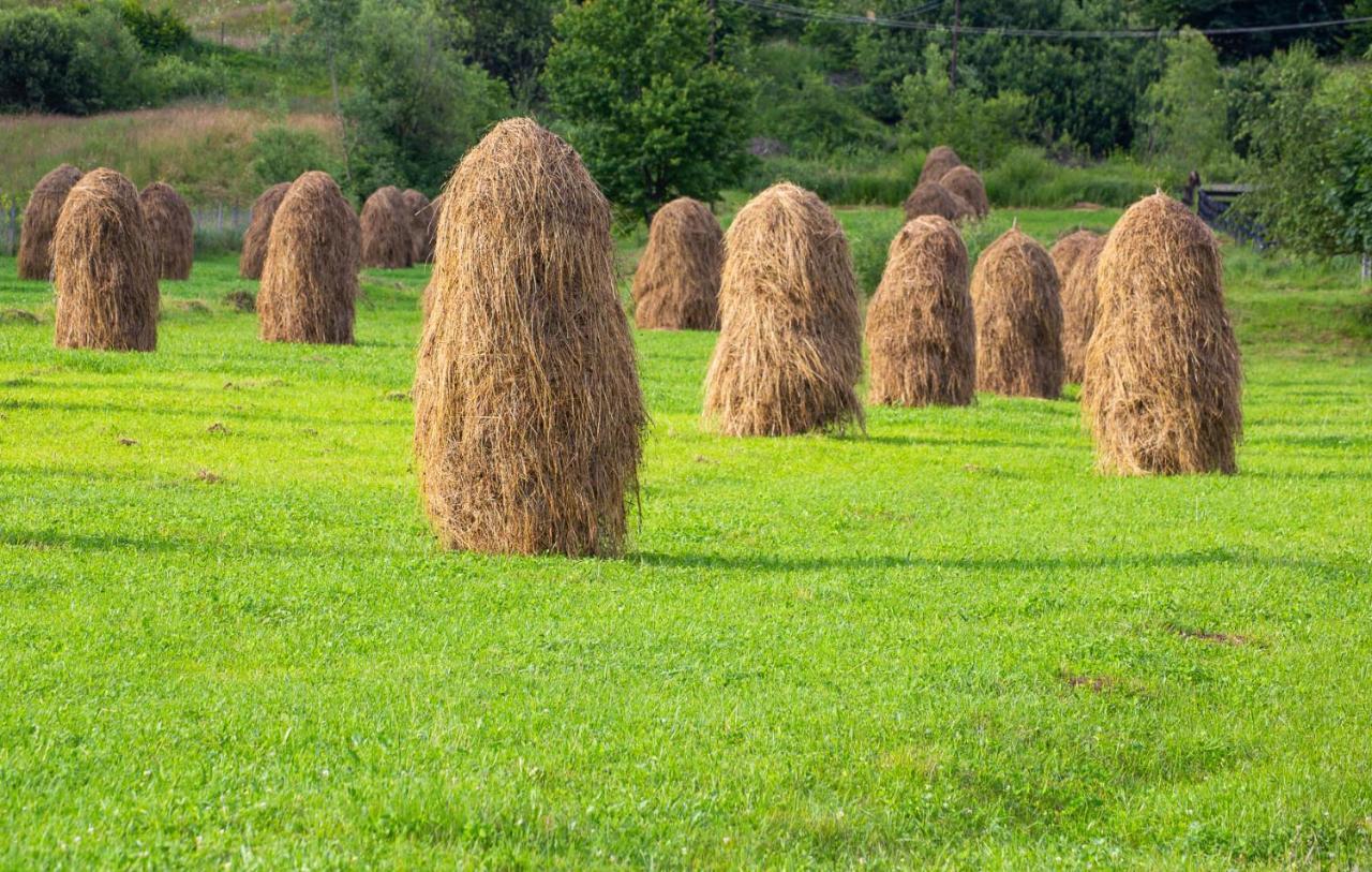 Casa De Vacanta Armi Molidu المظهر الخارجي الصورة